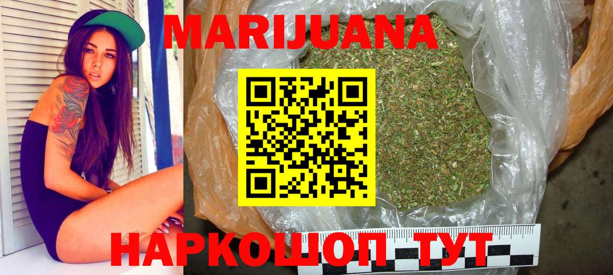 Конопля конопля Изобильный